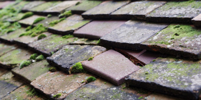 Llanegwad roof repair costs